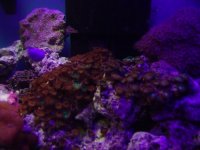 DSC05375web.jpg