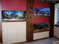 100_5416.jpg