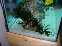 DSCN0856.JPG
