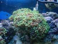 DSC00844 (Medium).JPG