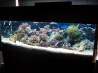 DSC00843 (Medium).JPG