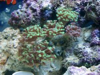 DSC00847 (Medium).JPG