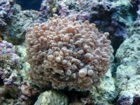 DSC00846 (Medium).JPG