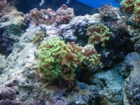 DSC00845 (Medium).JPG