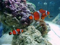 DSC00864 (Medium).JPG