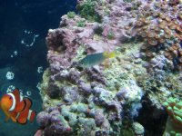 DSC00861 (Medium).JPG