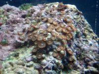 DSC00851 (Medium).JPG