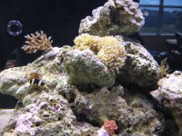 IMG_0026.JPG