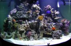 Newtank2 (WinCE).JPG