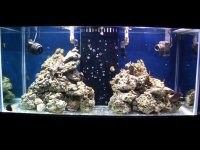 tank 25-Aug-07.jpg