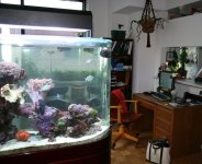 tank in apartment 004.jpg