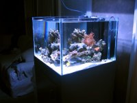 tank1 15484 540x405.jpg