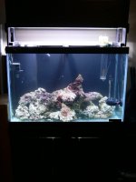 P1030275.JPG P1030275.JPG