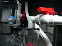 P1030278.JPG P1030278.JPG