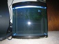 fish tank 004.jpg