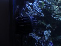 VortechMotor.jpg