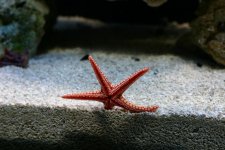 IMG_0861.jpg