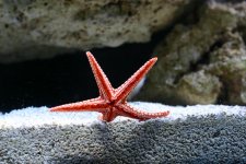 IMG_0854.jpg