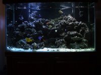 140galOceanicTank.jpg
