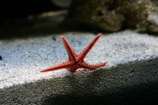 IMG_0852.jpg