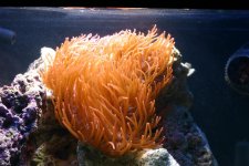 IMG_0846.jpg