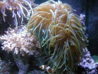 Picture 167 (Small).jpg