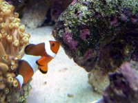 Sniffing The Babies P1040140 copy.jpg