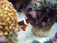 Sniff More P1040138 copy.jpg