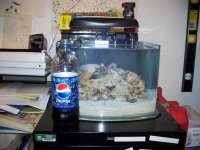 3 galllon pico tank.jpg