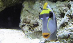 IMG_1170.jpg