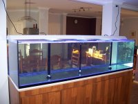 tank2-lr.JPG