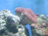 S4020344.JPG