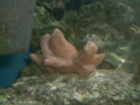 S4020343.JPG