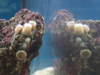 Copy of kool pic.jpg