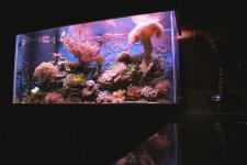 tank 1.JPG