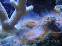 DSCN2246.JPG