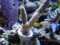 DSCN2269.JPG