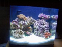 100_7168.jpg