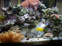 fish 030.jpg