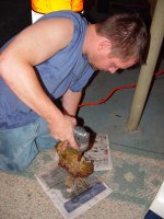 Crazy Rock Drillin Shavo.jpg