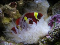 fish 027.jpg