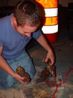 Shavo Destroying Beautiful Rcok.jpg