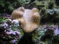 fish 024.jpg