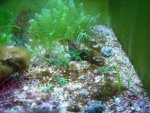 DSC00356.JPG
