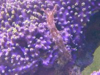 snail.jpg