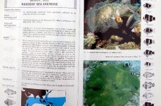 217_1716.JPG