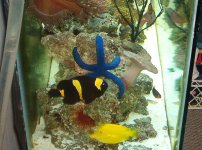 frank fish 4 028.jpg