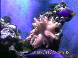 IMAGE_00043.jpg
