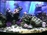 IMAGE_00048.jpg