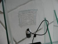 DSC01152.JPG